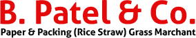 B. Patel and Co. logo